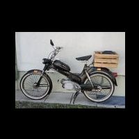 whatsapp image 2025-07-14 at 10.56.37 (1).jpeg